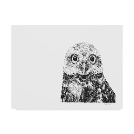 Let Your Art Soar 'Owl Line Art' Canvas Art,14x19